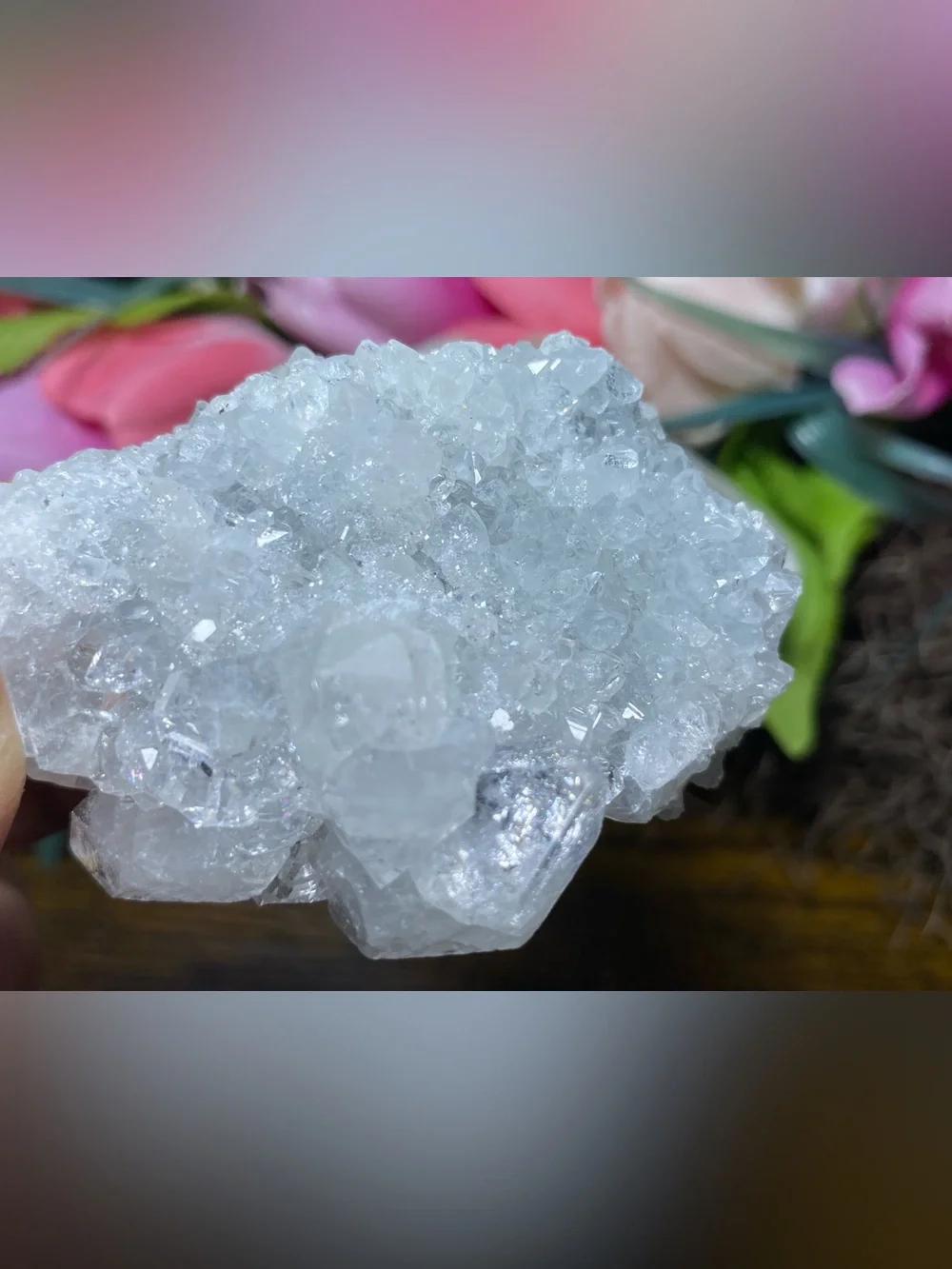 Apophyllite Stalactite Cluster